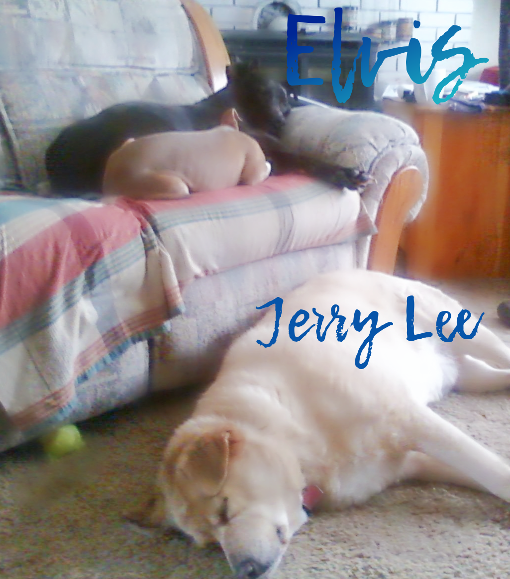 Elvis & Jerry Lee