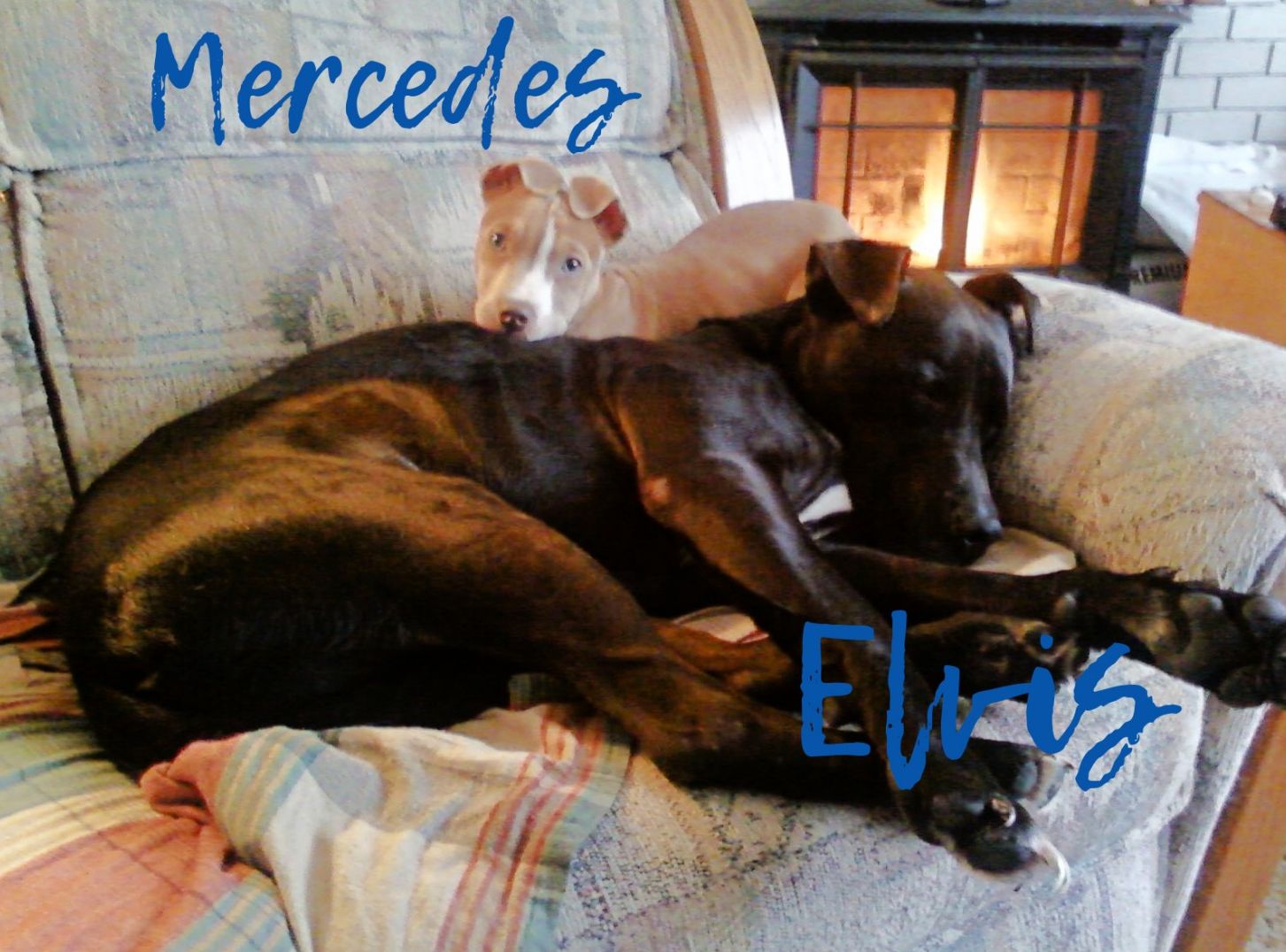 Mercedes & Elvis
